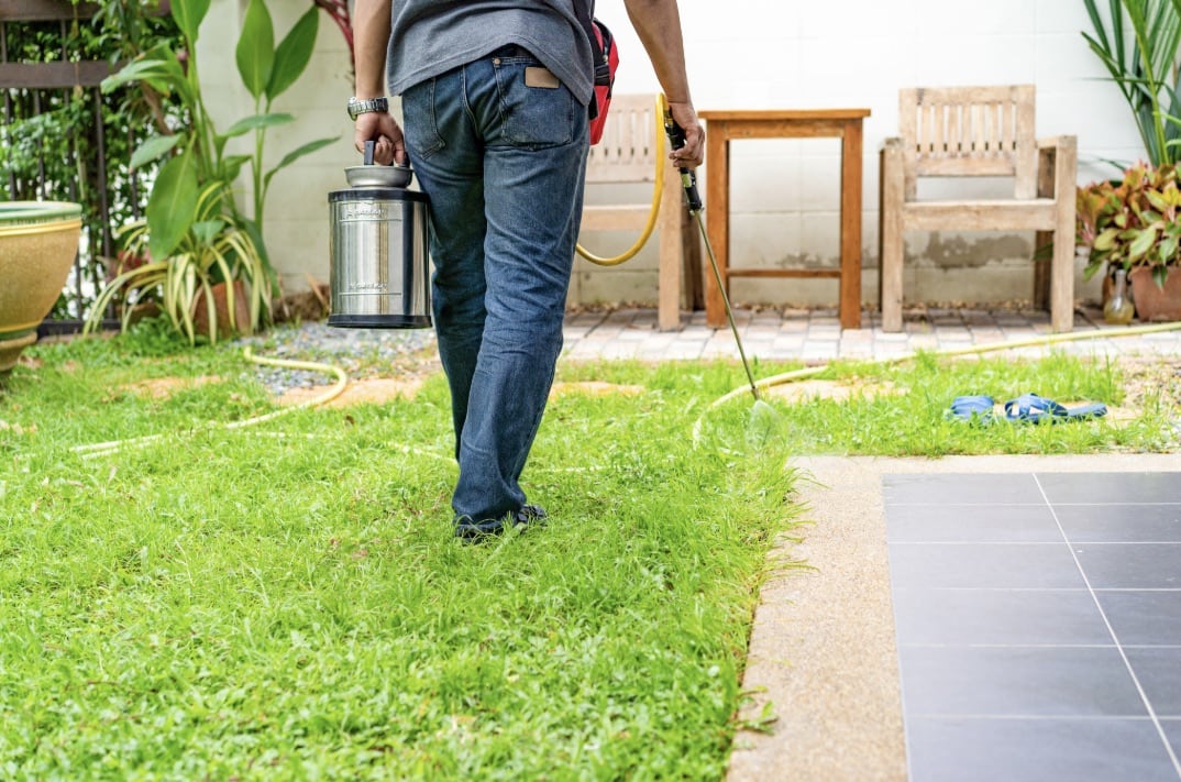 Residential Pest Control Residential Pest Control