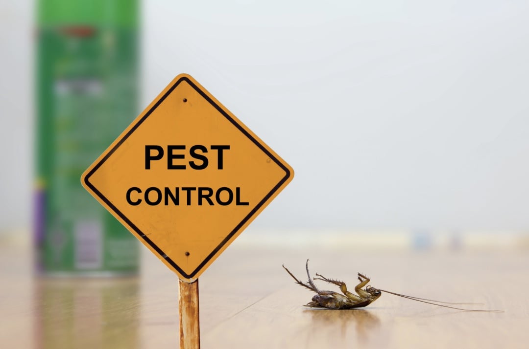 Stop pests in their tracks Stop pests in their tracks