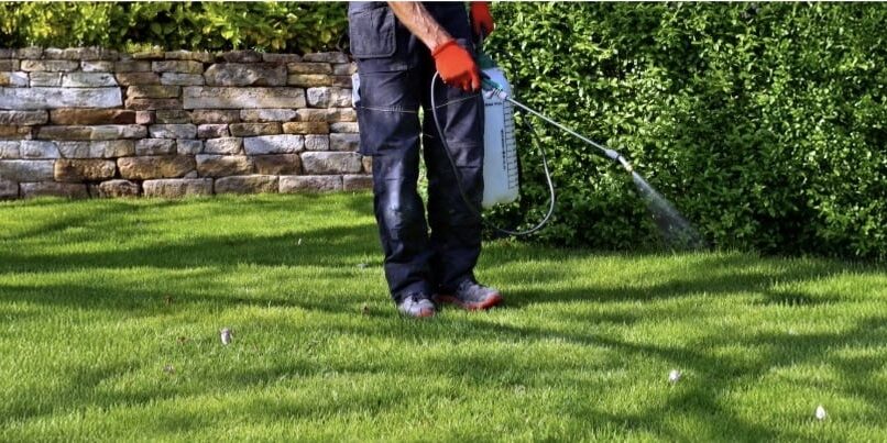 Pest control 2 Pest control 2
